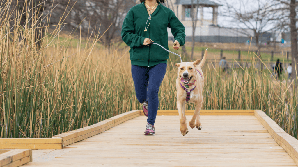 Preparing to Run with Your Dog