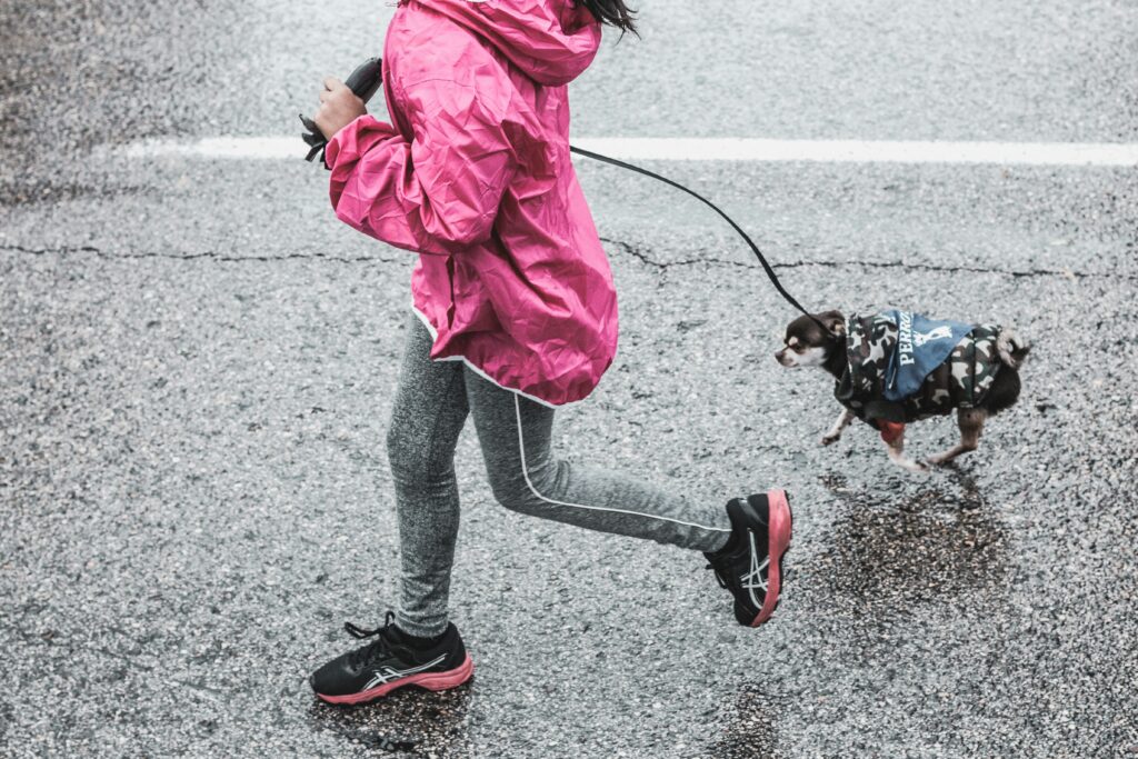 running with your dog