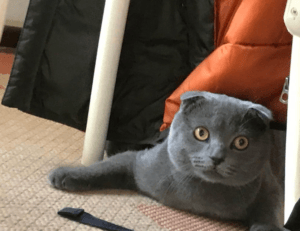 dropbox 8737.idj.029.22 problems