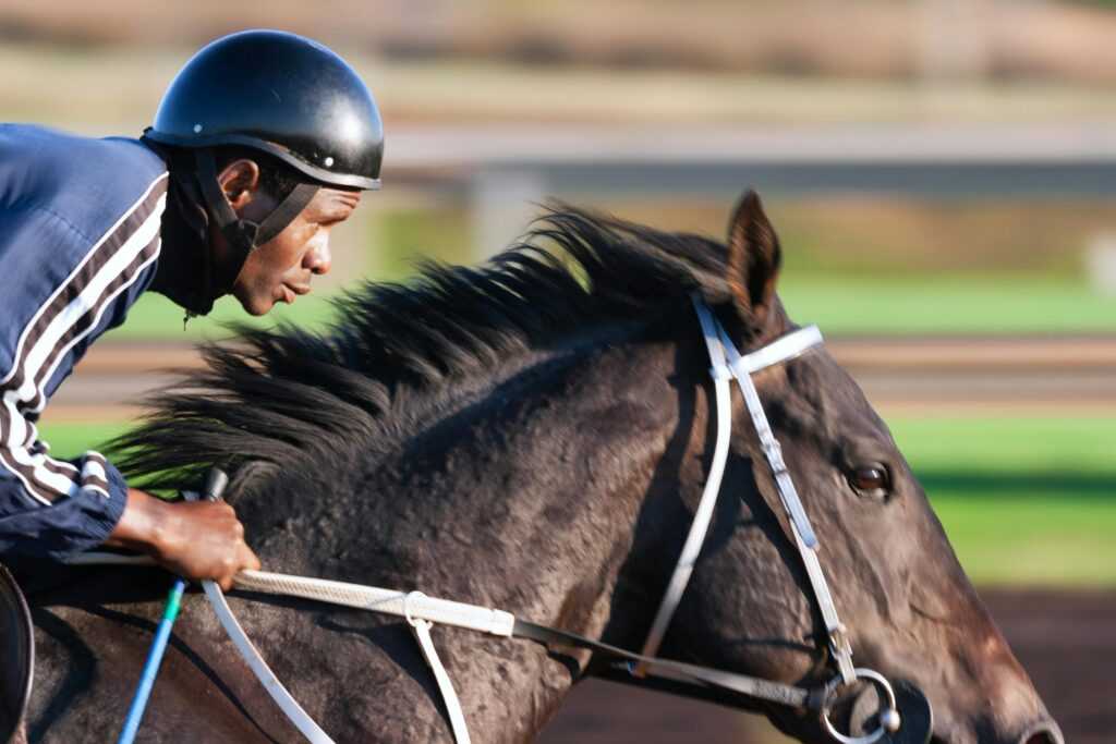 Dynamic shot of a jockey racing a horse at full speed, showcasing action and speed.