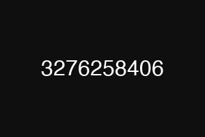 3276258406