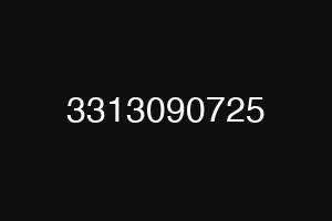 3313090725