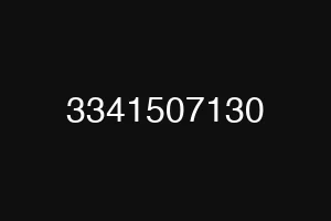 3341507130