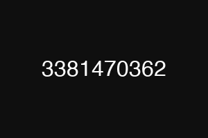 3381470362