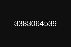 3383064539