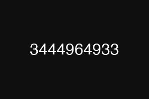 3444964933