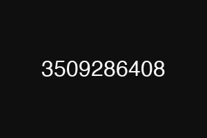 3509286408