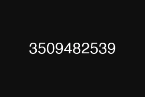 3509482539