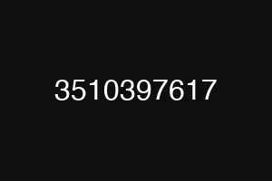 3510397617