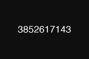 3852617143