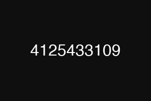 4125433109