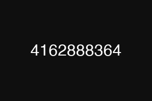 4162888364