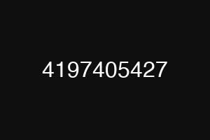 4197405427