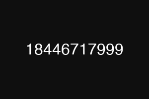 18446717999