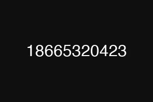 18665320423