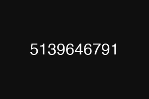 5139646791