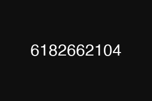 6182662104