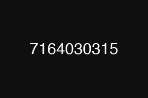 7164030315