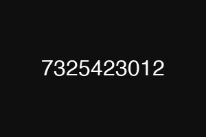 7325423012