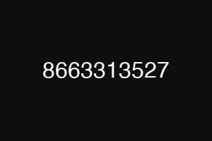 8663313527